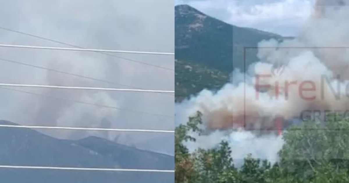 Φωτιά στην Άσσηρο Θεσσαλονίκης: Έφθασε στην παλιά εθνική οδό - Ενισχύθηκαν οι Πυροσβεστικές δυνάμεις - εικόνα 2