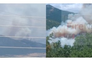 Φωτιά στην Άσσηρο Θεσσαλονίκης: Έφθασε στην παλιά εθνική οδό - Ενισχύθηκαν οι Πυροσβεστικές δυνάμεις - εικόνα 2