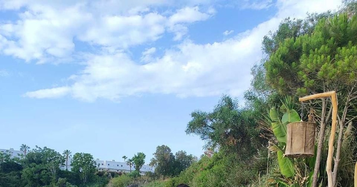 Ρόδος: Ξήλωσαν ξαπλώστρες, ομπρέλες και τα μεταλλικά... κρεβάτια από θάλασσα και παραλία στο προκλητικό beach bar [εικόνες] - εικόνα 4