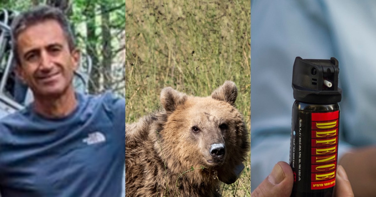 Δράμα: Οι ασάφειες του φίλου του 61χρονου ορειβάτη και το βίντεο με την επίθεση της αρκούδας - "Πόνος, φωνές και μετά σιωπή" - εικόνα 2