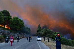 Φωτιά Πόρτο Γερμενό: Τεράστιο μέτωπο σε Αγ. Νεκτάριο και Κρύο Πηγάδι - Κρίσιμες ώρες για τη Βένιζα - Δραματική η κατάσταση - εικόνα 11