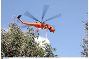 Φωτιά στη Λέσβο: Μήνυμα από το 112 – "Παραμείνετε σε ετοιμότητα" - Εκκενώθηκε  Δημοτικό Σχολείο - εικόνα 4