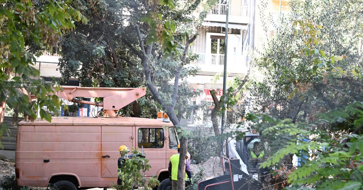 Αυγενάκης: Αυτά είναι τα μέτρα για τη αποκατάσταση των ζημιών από τις πυρκαγιές στον Έβρο και τη Θεσσαλία - εικόνα 2