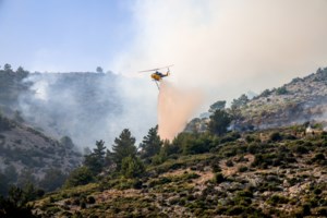 Ορεστιάδα: Φωτιά σε δάσος με βελανιδιές στον Πεντάλοφο