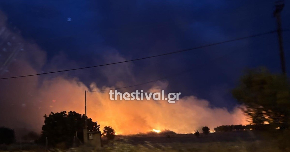 Θεσσαλονίκη: Πυρκαγιά στον Λαγκαδά - Κινδύνευσαν σπίτια [βίντεο]