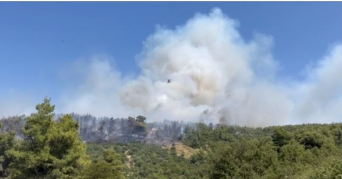 Αρκαδία: Φωτιά στον δήμο Μεγαλόπολης - Σηκώθηκαν 3 εναέρια