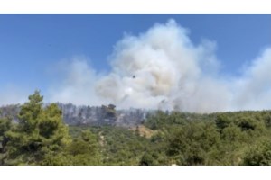 Αρκαδία: Φωτιά στον δήμο Μεγαλόπολης - Σηκώθηκαν 3 εναέρια