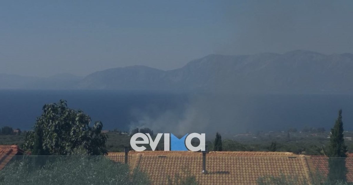 Φωτιά στην Αργολίδα: Πυρκαγιά ξέσπασε στις Λάκκες - Σηκώθηκαν 8 εναέρια μέσα