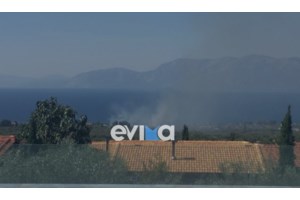 Φωτιά στην Αργολίδα: Πυρκαγιά ξέσπασε στις Λάκκες - Σηκώθηκαν 8 εναέρια μέσα