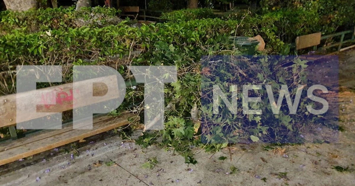 Περιφέρεια Αττικής για τον τραυματισμό τουριστών από κλαδί: Δεν έχουμε καμία αρμοδιότητα για το Ζάππειο