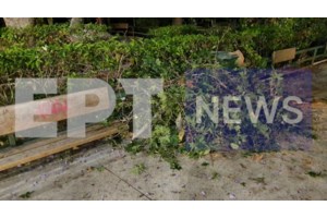 Περιφέρεια Αττικής για τον τραυματισμό τουριστών από κλαδί: Δεν έχουμε καμία αρμοδιότητα για το Ζάππειο