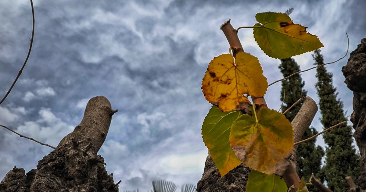 Ερχεται φθινόπωρο, λέει ο Κολυδάς: Κάθετη πτώση της θερμοκρασίας, συννεφιά και θυελλώδεις άνεμοι 7-8 μποφόρ