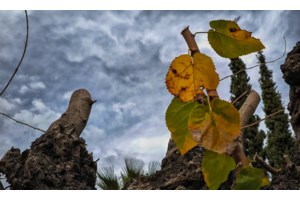 Ερχεται φθινόπωρο, λέει ο Κολυδάς: Κάθετη πτώση της θερμοκρασίας, συννεφιά και θυελλώδεις άνεμοι 7-8 μποφόρ