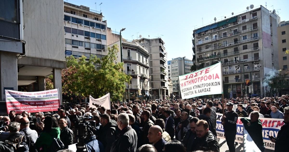 "Είστε ανεπιθύμητοι στη Θεσσαλία": Οργή κτηνοτρόφων στο γραφείο Κέλλα – Έχυσαν γάλα στο δρόμο - εικόνα 13