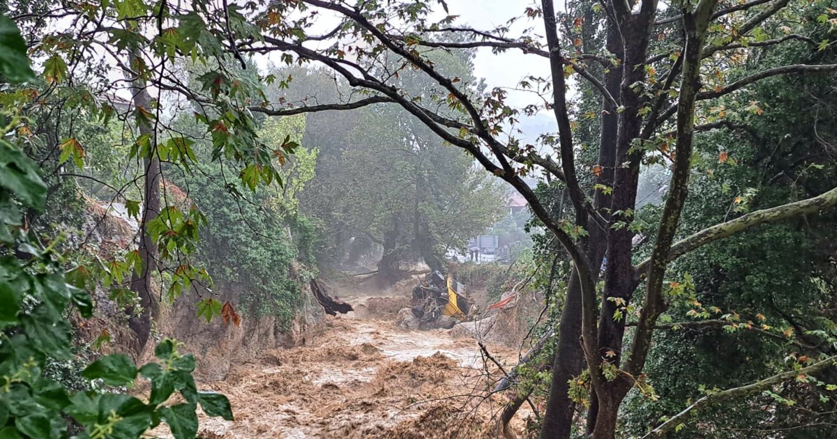 Κακοκαιρία Daniel: Ο Μπέος μοίρασε εμφιαλωμένα νερά στους πολίτες του Βόλου - Ουρές στα σούπερ μάρκετ - Άδειασαν τα ράφια - εικόνα 2