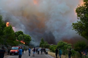 "Όταν το καθήκον συναντά την ανθρωπιά-Δίπλα σε κάθε ζωή": Αστυνομικός πήρε αγκαλιά κατσικάκι και το σώζει από τις φλόγες - εικόνα 2