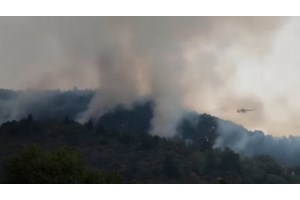 Αχαΐα: Φωτιά σε δασική έκταση στο Μουρίκι