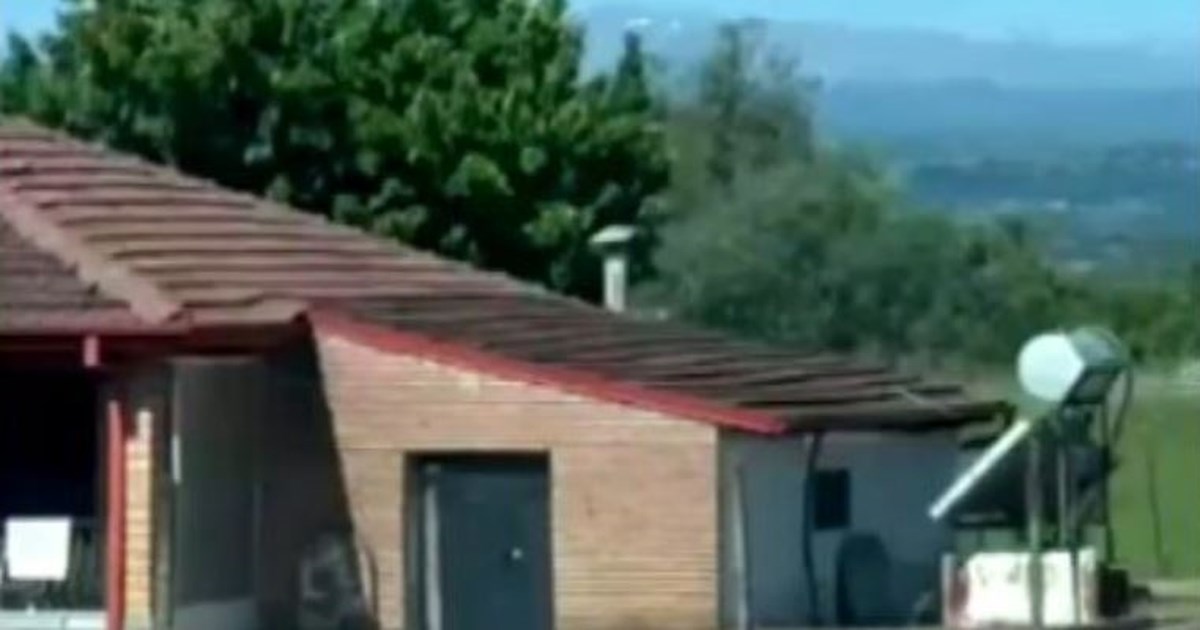 Γρεβενά: Αρκούδα έκανε βόλτες στο κέντρο της πόλης [βίντεο]