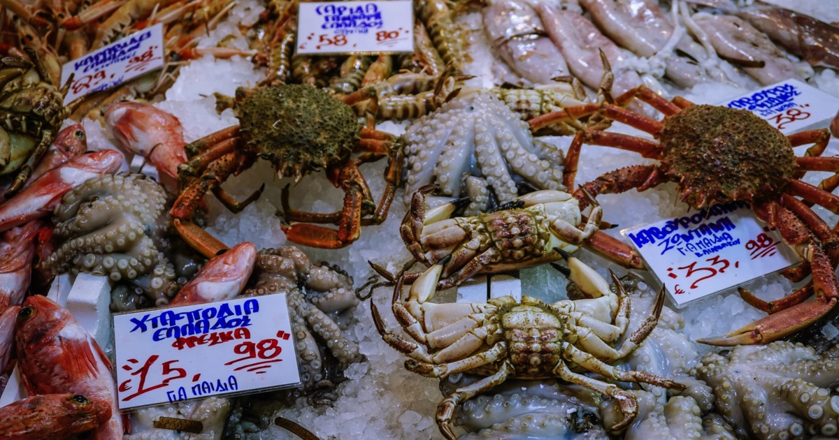 Λαγάνα με ταχίνι και σουσάμι πανεύκολη, νόστιμη και οικονομική - Μια διαφορετική εκδοχή