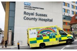 Γρίπη των πτηνών: Επιβεβαιώθηκε κρούσμα στη λίμνη Κερκίνη - Τα μέτρα που προβλέπονται