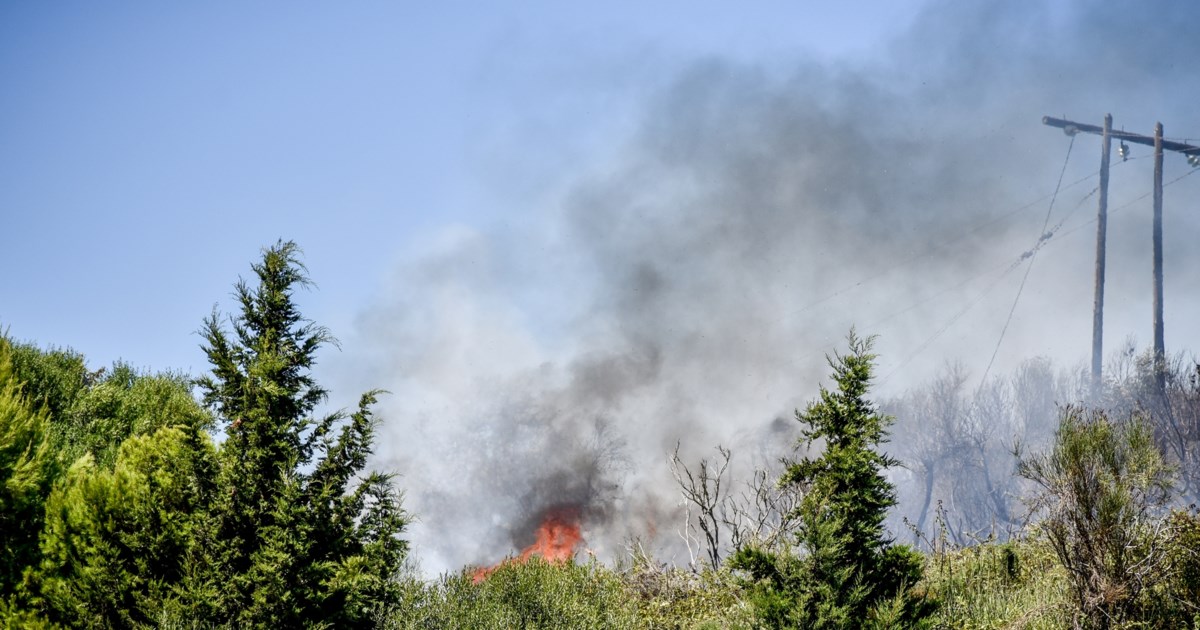 Σε ύφεση η πυρκαγιά στη Βρυσούλα Πρέβεζας