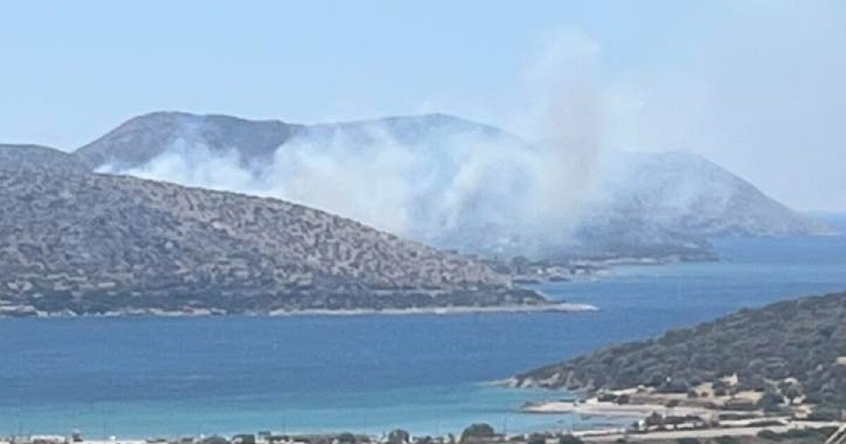 Φωτιά στον Ασπρόπυργο: Δύο μέτωπα πυρκαγιάς, πληροφορίες ότι καίγονται σπίτια (βίντεο)