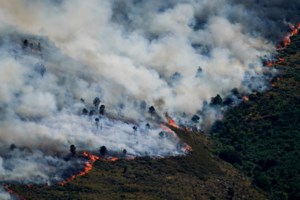 Ισπανία: Εκτός ελέγχου οι φωτιές γύρω από τη Μαδρίτη - Τουλάχιστον 19.000 άνθρωποι έχουν απομακρυνθεί από τα σπίτια τους