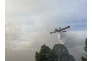 Φωτιά στην Ίο: Κινητοποιήθηκαν επίγειες και εναέριες δυνάμεις - Πνέουν ισχυροί άνεμοι