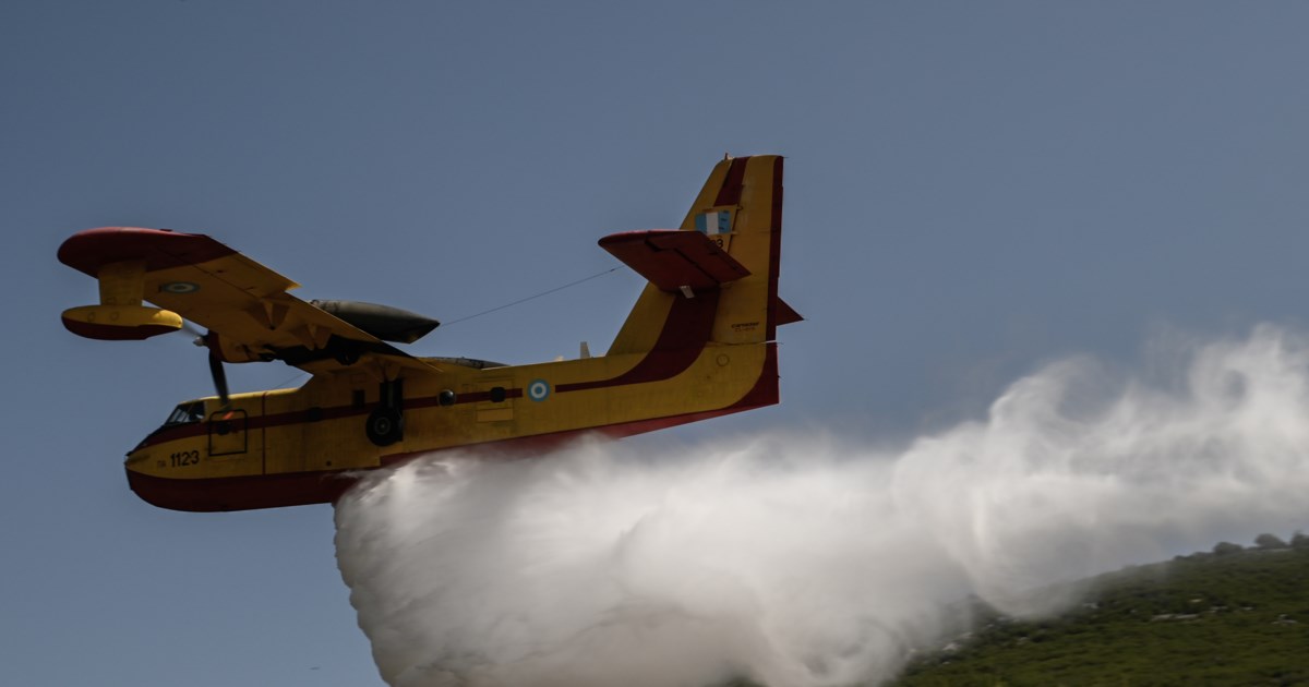 Τρίκαλα: Φωτιά σε δασική έκταση στο Μυρόφυλλο - Σηκώθηκαν εναέρια μέσα