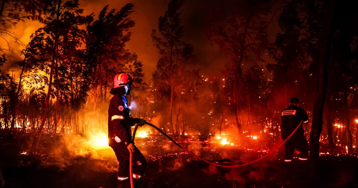 Πυρκαγιά σε εξέλιξη στην Φυλή - Κοντά στις γραμμές του Προαστιακού