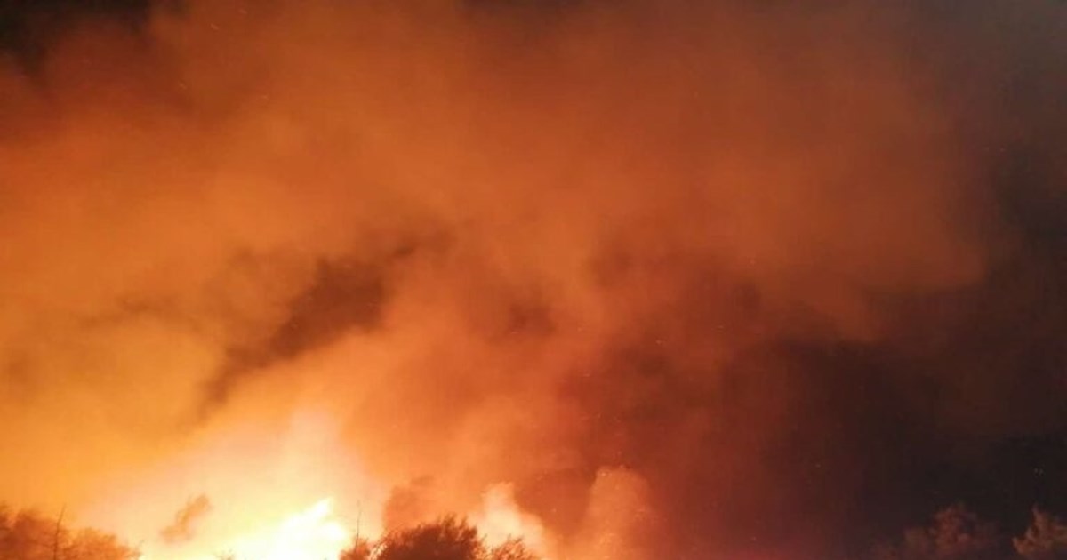 Χωρίς ενεργές εστίες η φωτιά στο Βουπράσιο Αχαΐας: Ολονύκτια μάχη να μην επεκταθεί στο δάσος της Στροφυλιάς