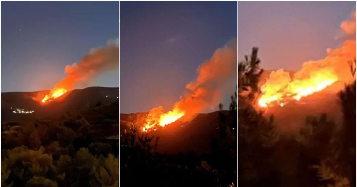 Ιωάννινα: Συνελήφθη εμπρηστής για δασική πυρκαγιά στα Τζουμέρκα