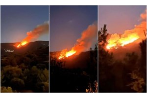 Ιωάννινα: Συνελήφθη εμπρηστής για δασική πυρκαγιά στα Τζουμέρκα