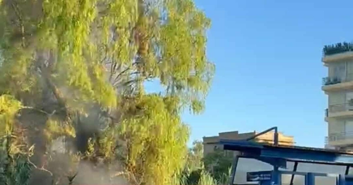 Φωτιά σε αυτοκίνητο στη λεωφ. Κηφισίας στο ύψος του Χαλανδρίου [εικόνα] - εικόνα 3