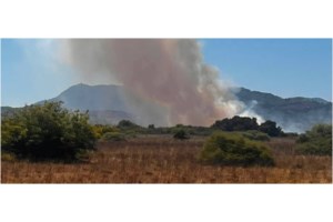 Ηράκλειο Κρήτης: Φωτιά στην περιοχή Μπαδιά - Ισχυρές πυροσβεστικές δυνάμεις