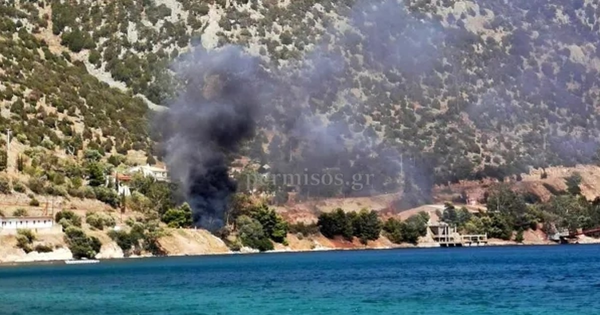 Δίστομο: Πατέρας τριών παιδιών ο οδηγός του φορτηγού που σκοτώθηκε - Η ηρωική προσπάθεια να μην παρασύρει πεζούς