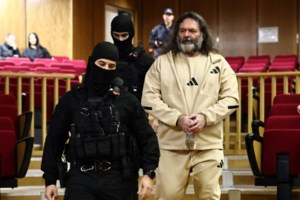 Δίκη Χρυσής Αυγής: Καταπέλτης ξανά η εισαγγελέας - Ζήτησε ενοχή όλων των κατηγορουμένων όπως πρωτοδίκως - εικόνα 4