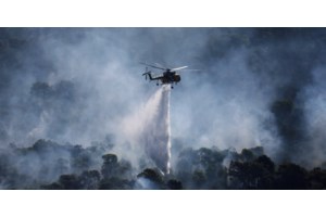 Ηλεία: Φωτιά σε γεωργική έκταση στο Τραγανό Πηνειού και στη Δίβρη