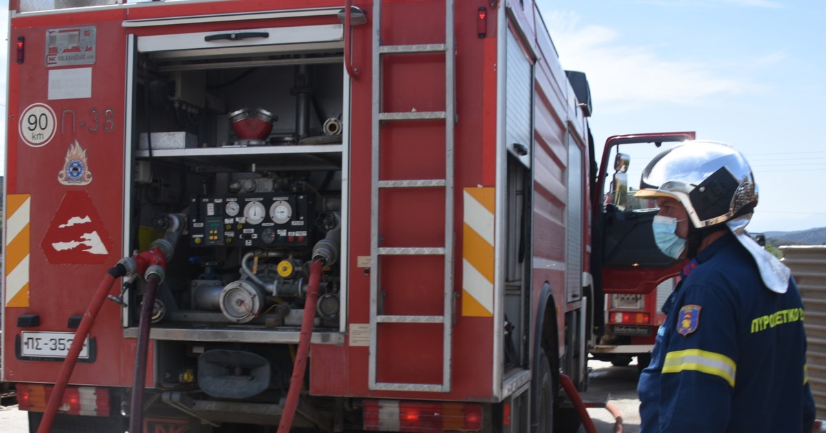 Εκτός διανομής σχολικών γευμάτων η εταιρεία "Γιαννίτσης –  Τριετής αποκλεισμός από δημόσιους διαγωνισμούς για τη δηλητηρίαση - εικόνα 4