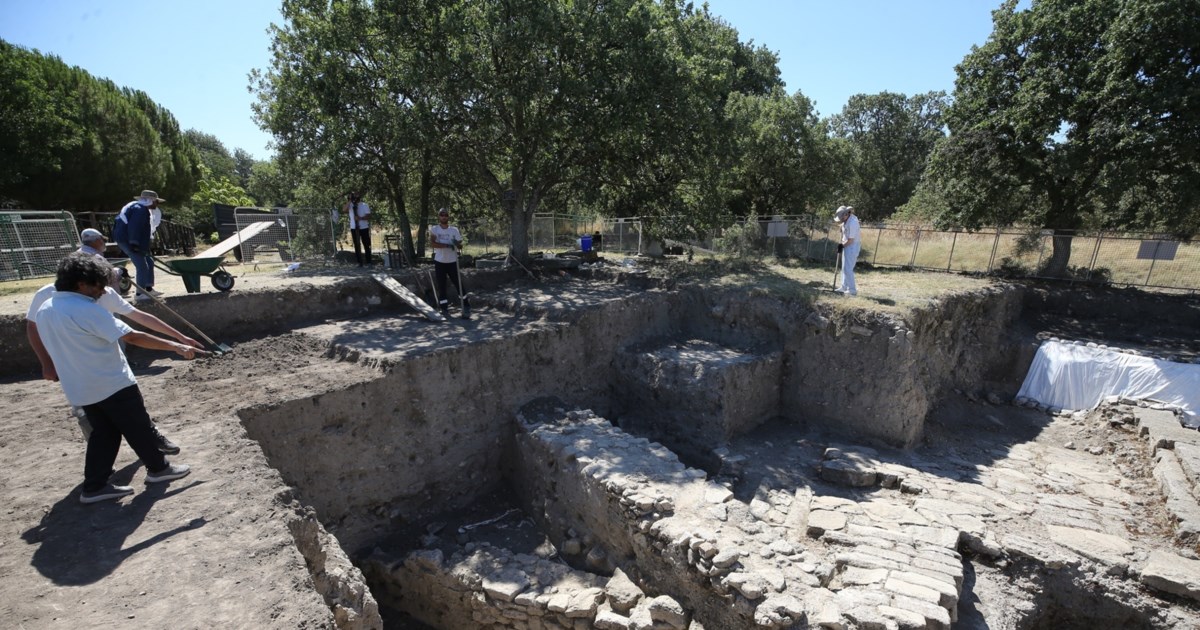 Τουρκία: Ανασκαφές στην Καισάρεια έφεραν στην επιφάνεια κρανία ελεφάντων ηλικίας 7,7 εκατομμυρίων ετών