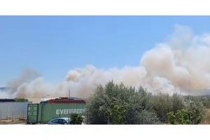 Μητσοτάκης: Επιτάχυνση της κρατικής αρωγής στους πυρόπληκτους και δράσεις για αποκατάσταση του φυσικού περιβάλλοντος