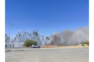Μεσσηνία: Φωτιά στο Αγριλόβουνο Οιχαλίας - Υπό έλεγχο η πυρκαγιά