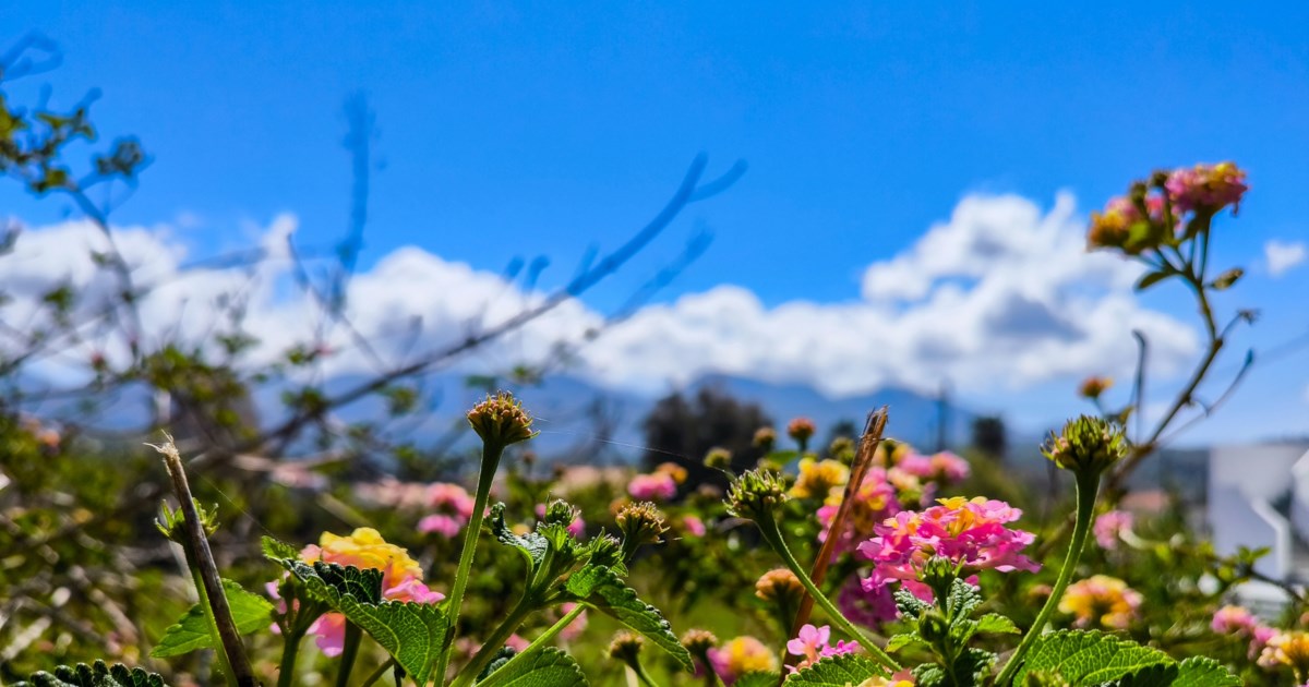 Στο "κόκκινο" η κίνηση: Ουρές χιλιομέτρων στον Κηφισό - Μεγάλο μποτιλιάρισμα σε Συγγρού, Κηφισίας, Αττική Οδό