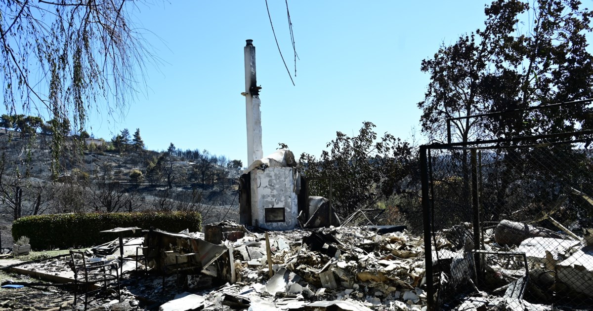 Κικίλιας: "Φταίνε και τα πεύκα για τις φωτιές, είναι εύφλεκτα"...λέει για την καταστροφή στη ΒΑ Αττική - εικόνα 3
