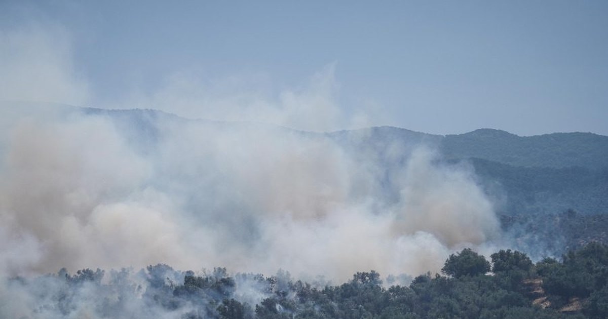 Φωτιά στη Λάρισα: Καίγεται δασική έκταση στην περιοχή Σπηλιά - Σηκώθηκε ελικόπτερο