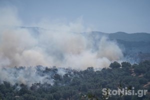 Φωτιά στη Λάρισα: Καίγεται δασική έκταση στην περιοχή Σπηλιά - Σηκώθηκε ελικόπτερο