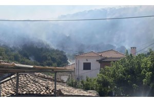 Καλλιτεχνούπολη Αττικής: Οριοθετημένη και σε ύφεση η φωτιά - Ερευνες για τα αίτια - εικόνα 3