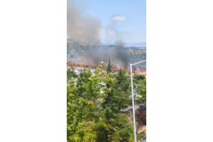 Φωτιά στις Σέρρες: Μεγάλη κινητοποίηση της Πυροσβεστικής - Σηκώθηκαν εναέρια μέσα