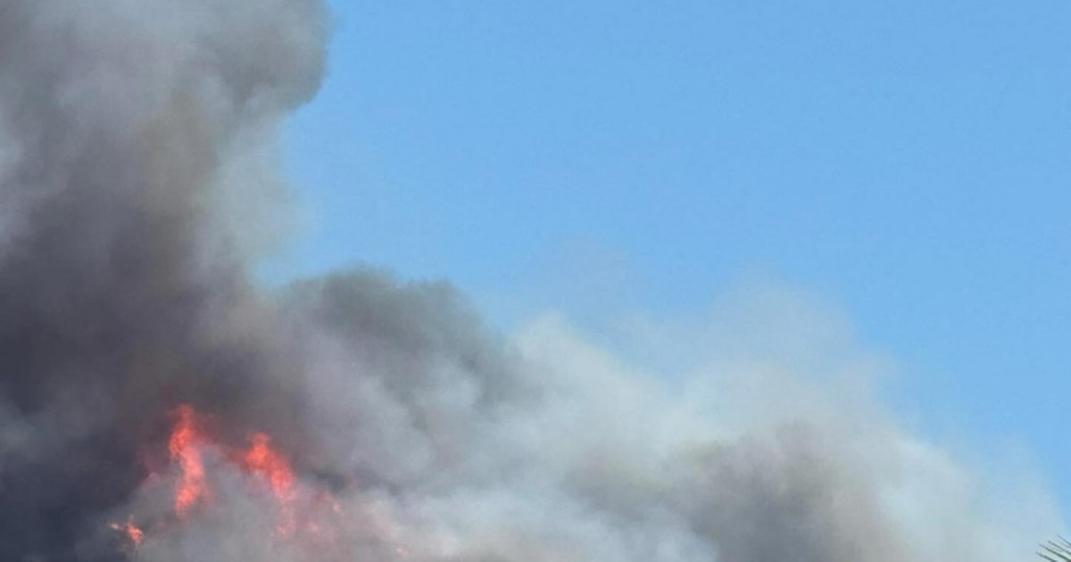 Φωτιά στην Αρχαία Ολυμπία: Σηκώθηκαν πέντε αεροσκάφη και δύο ελικόπτερα