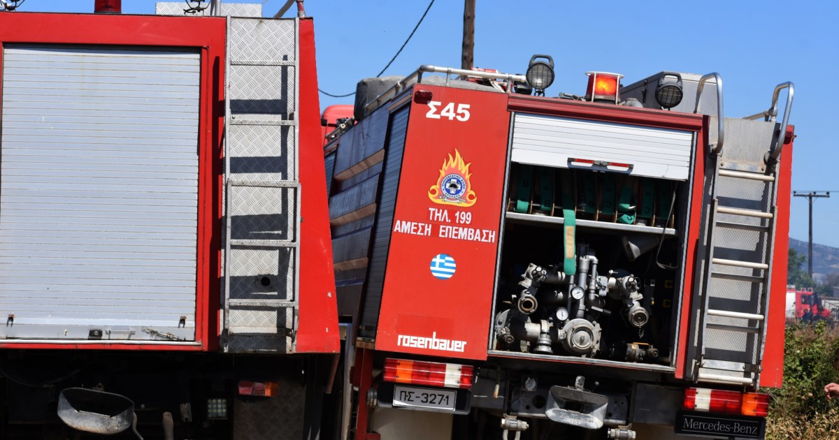 Πυρκαγιά στην Εύβοια: Καίγεται δασική έκταση στην Άγια Μαρίνα